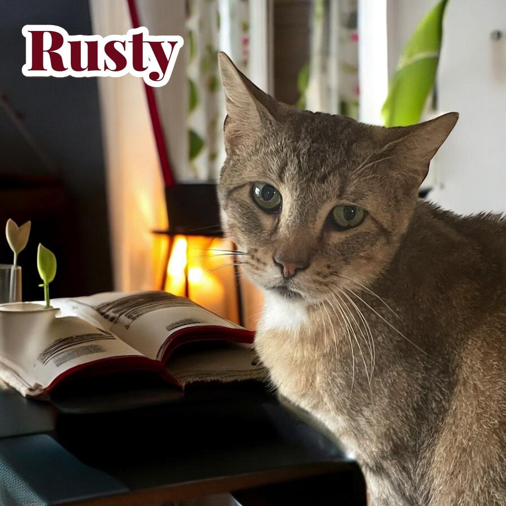 Rusty 