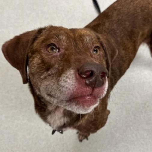 Jax *50% OFF* -In Foster*see my video!!*