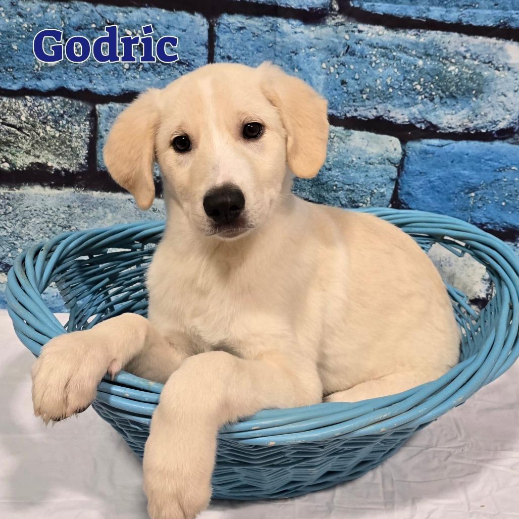 Godric