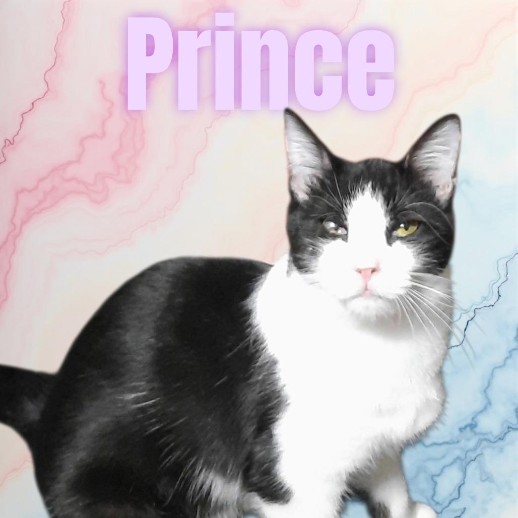 Prince