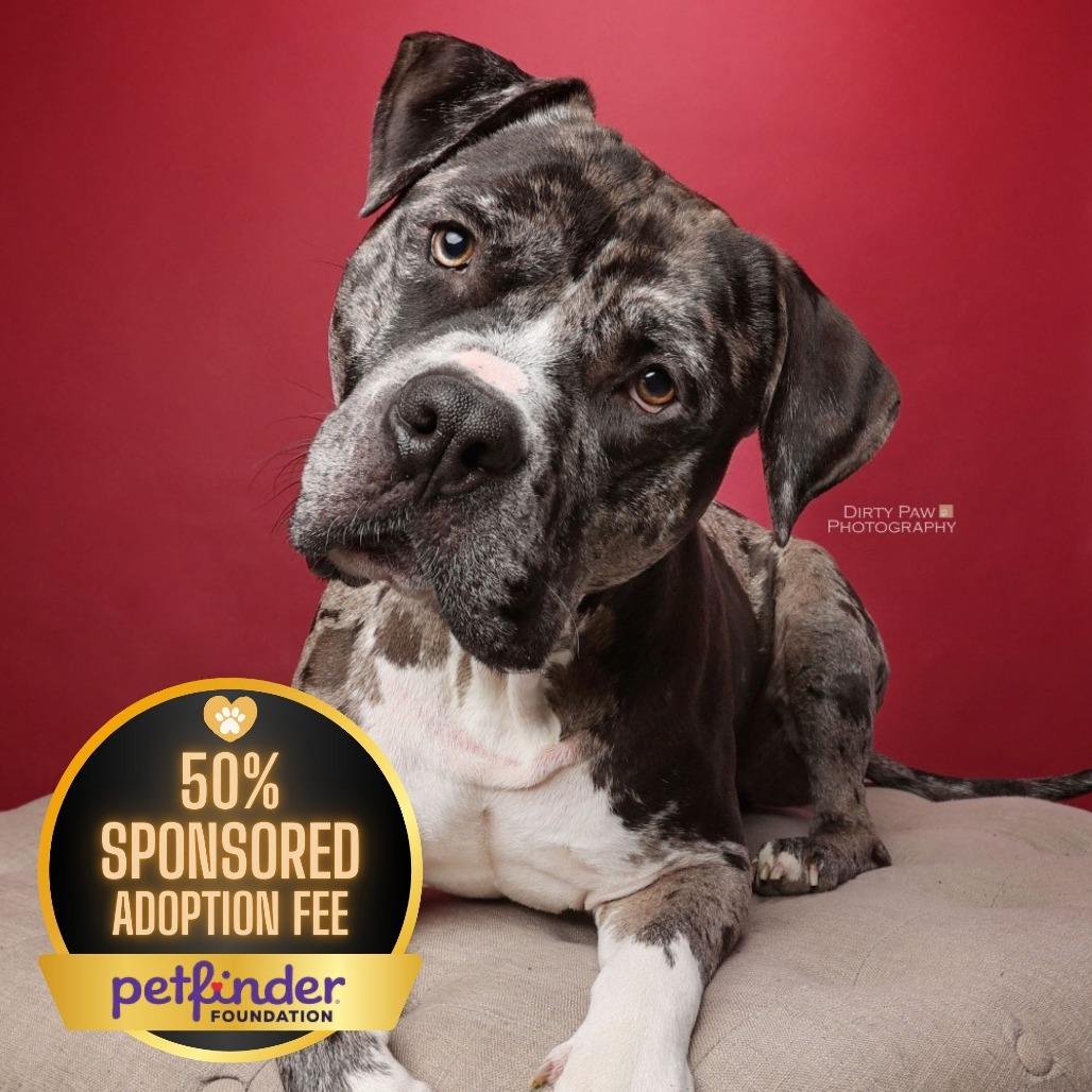 Koolaid AKA Mr. Ham Sandwich 