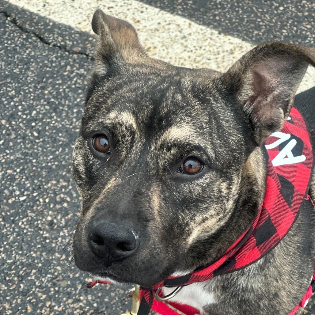 Scotty *Coming Soon*