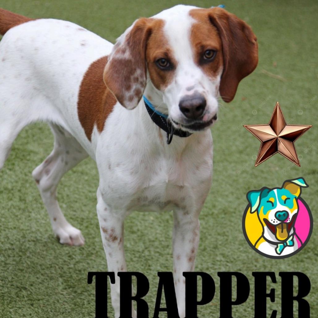 Trapper