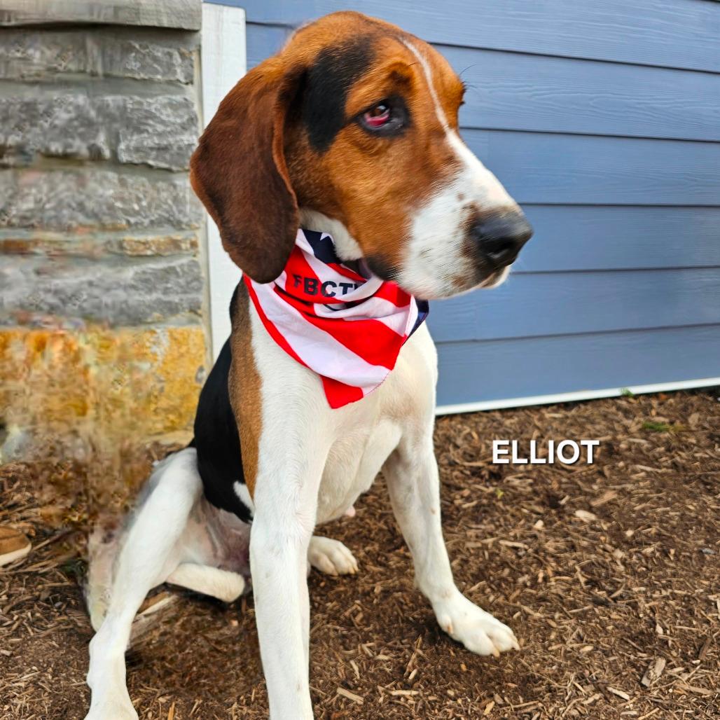 Elliot