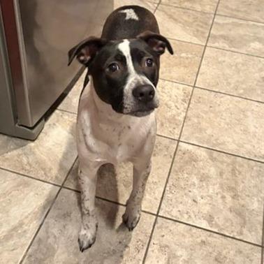 NY Max (Home in Pawling)