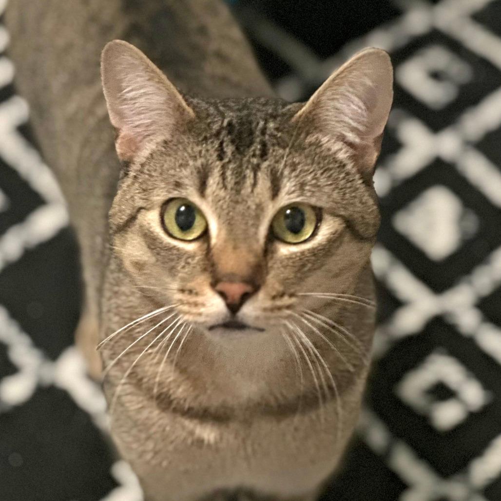 Arthur