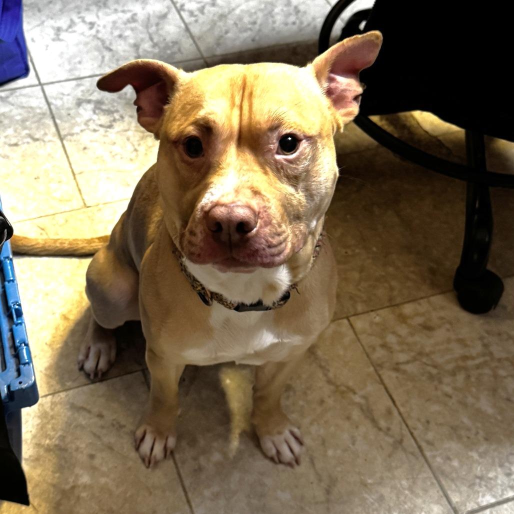 NY Buster Feb 21 (Tractor Supply Patterson NY)