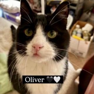 Oliver