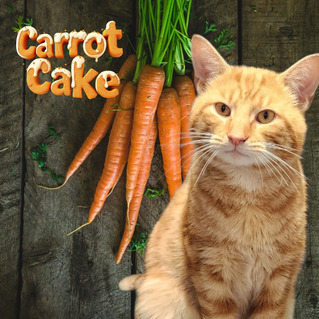 Carrot Cake