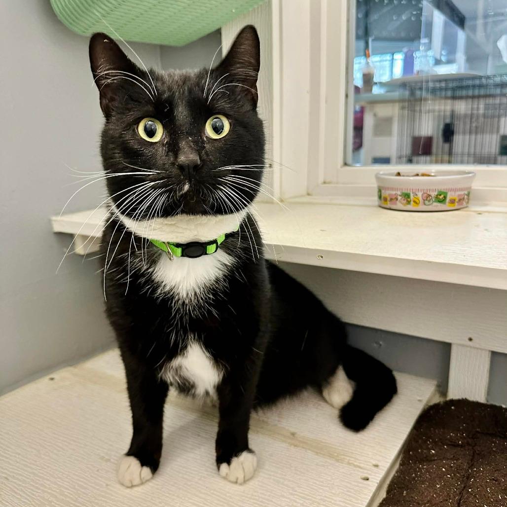 PO (Sullivan Petsense)