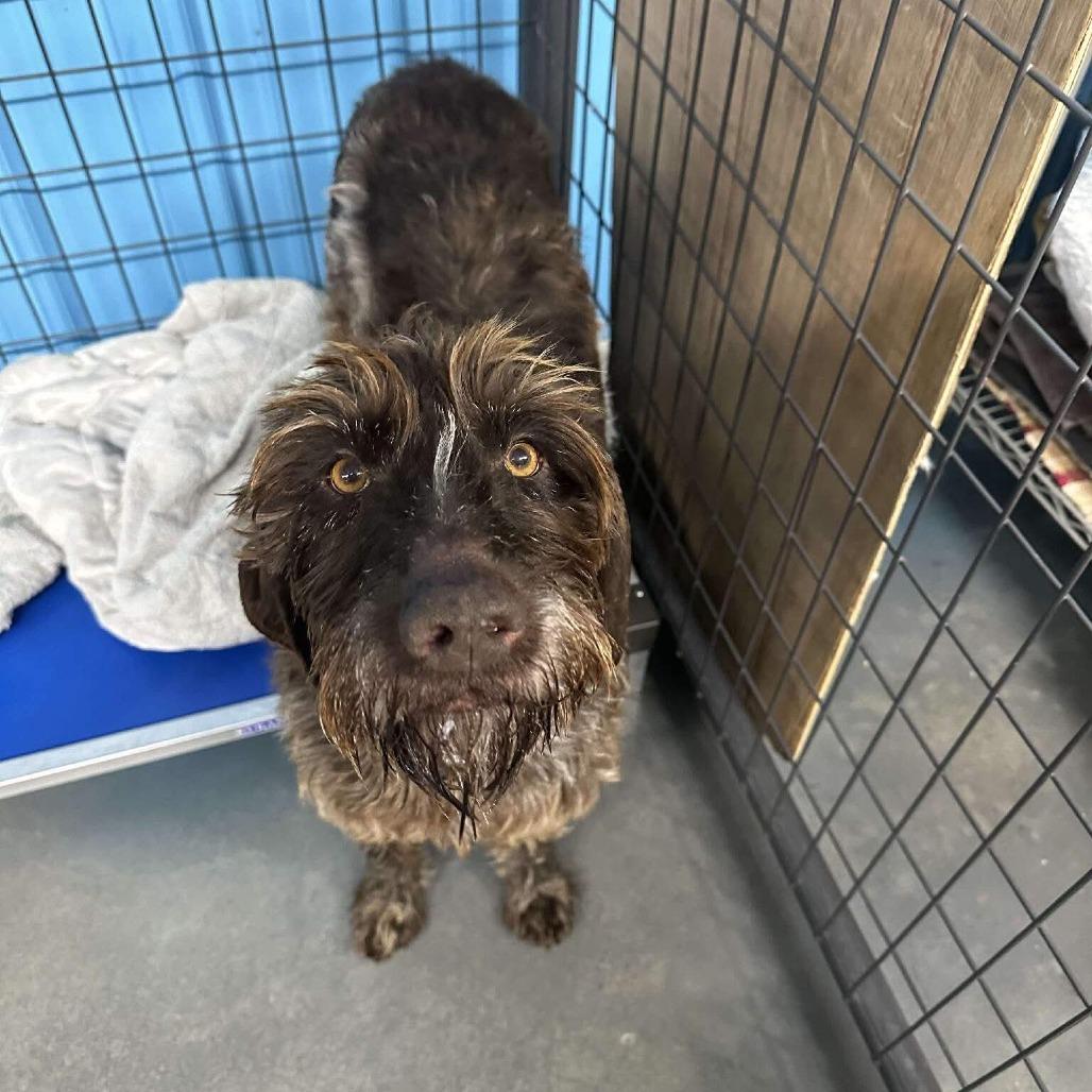 Fergie (NEEDS FOSTER Lake of the Woods, Minnesota)