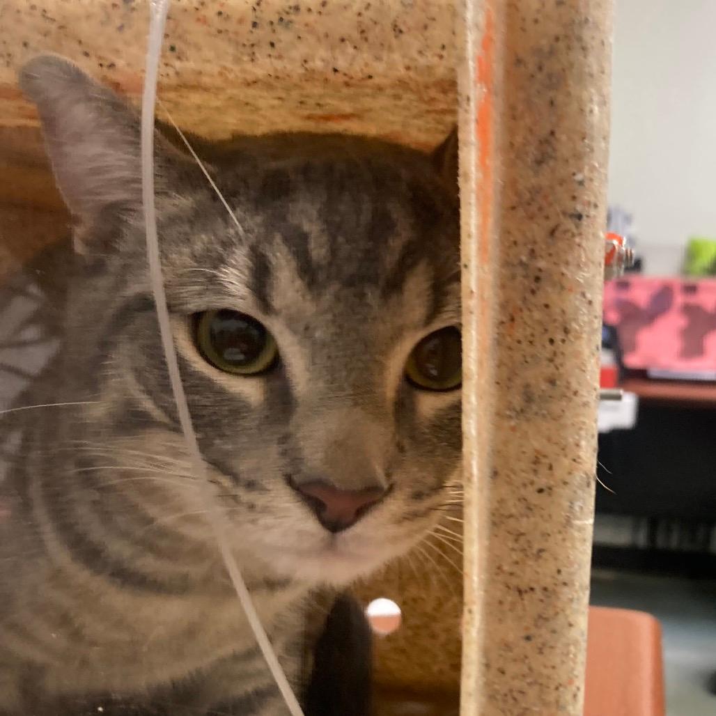 Gerald *Coming Soon*