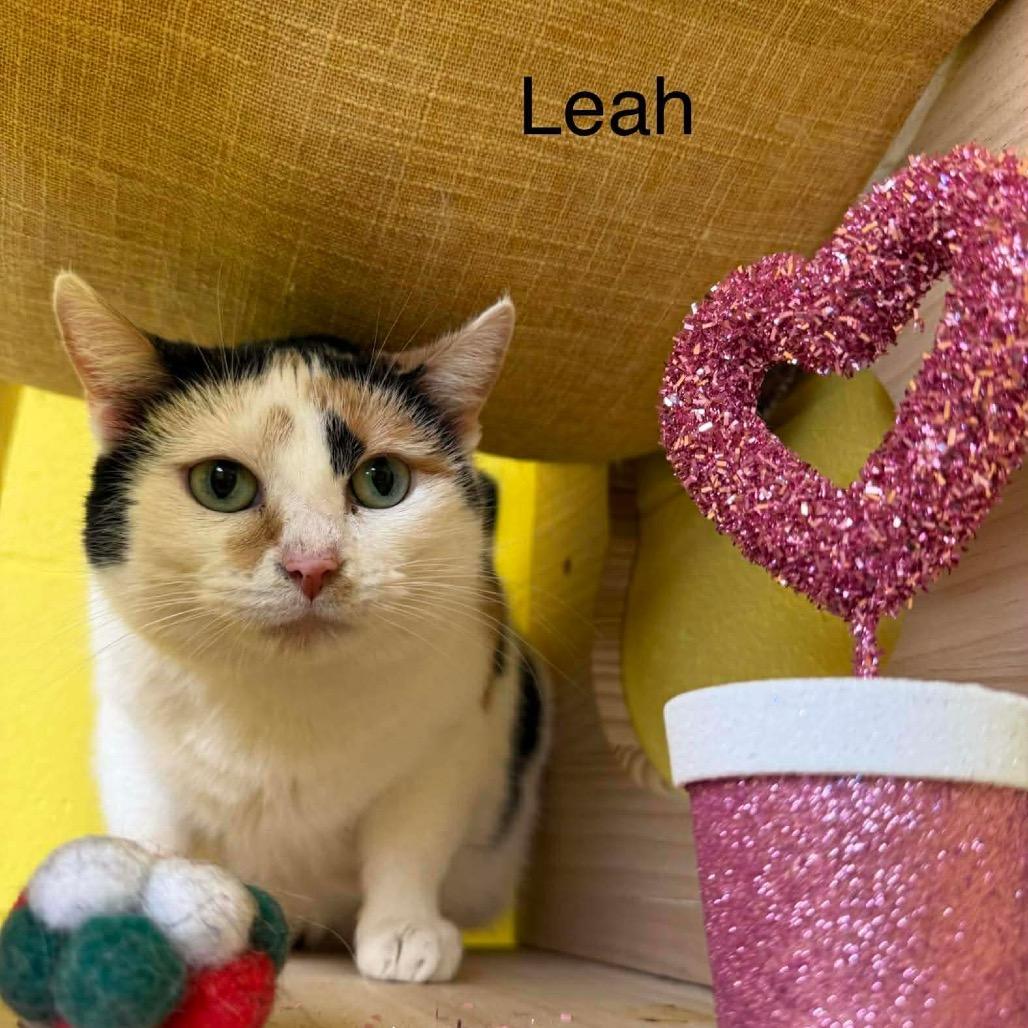 Leah