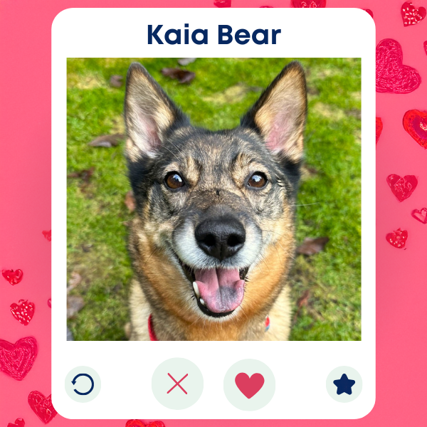 Kaia Bear
