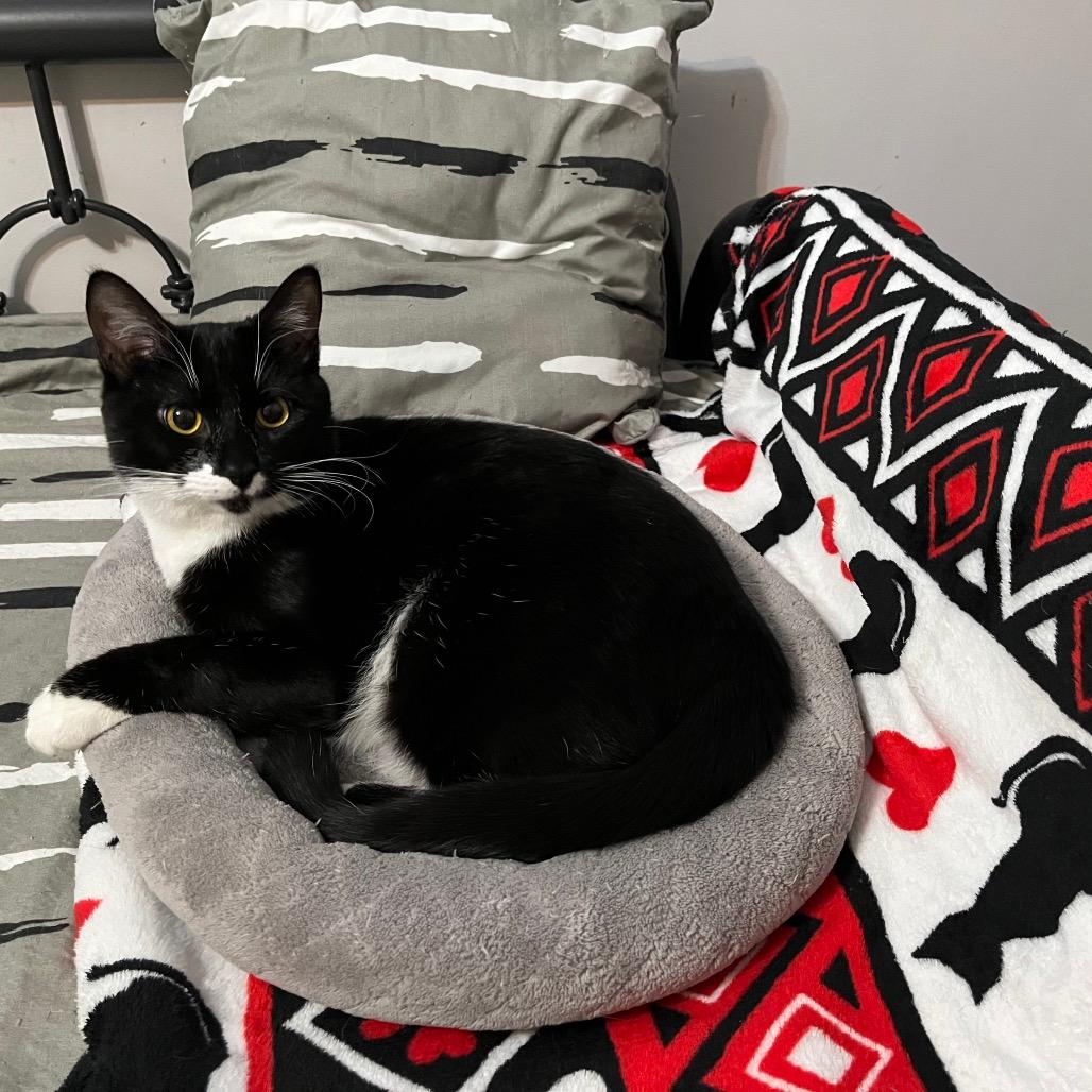 Prince Bambi aka Bubba