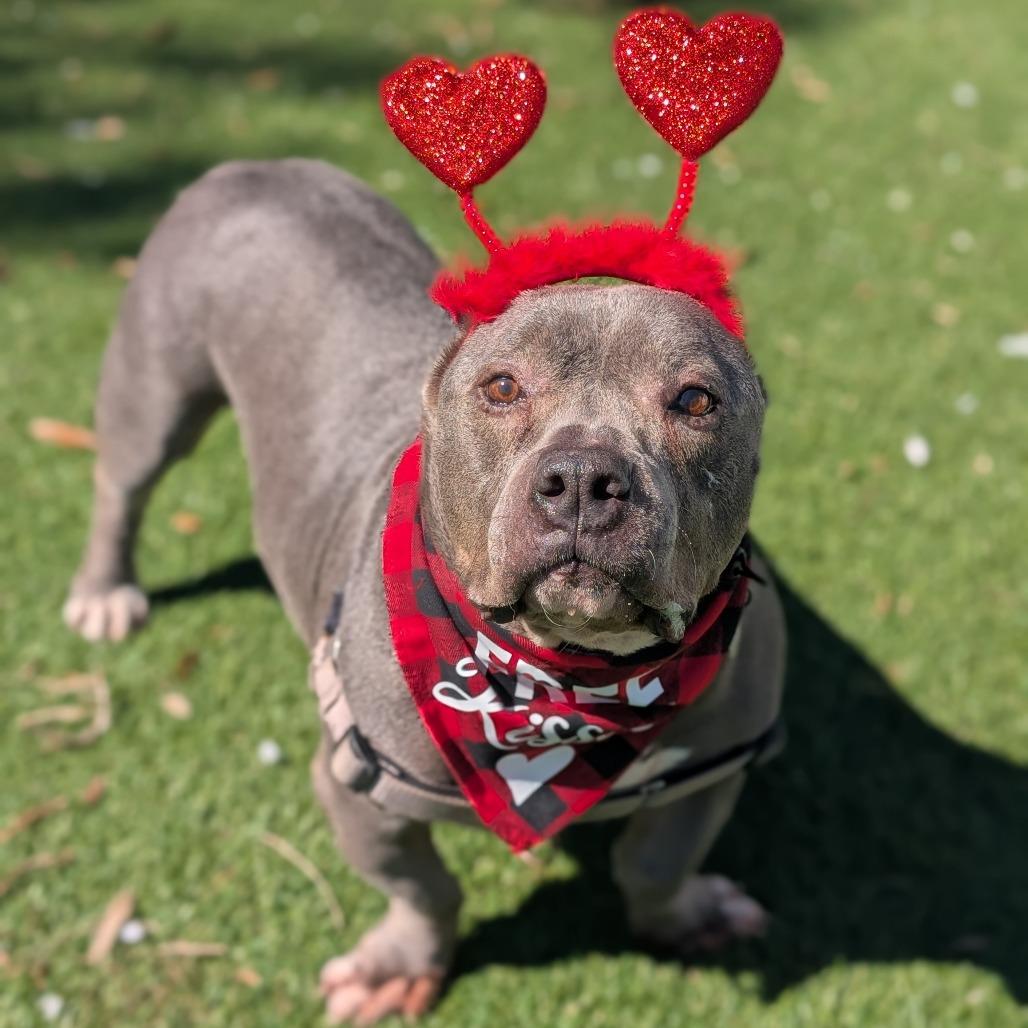 Mr. Potato HW+ 25-3484