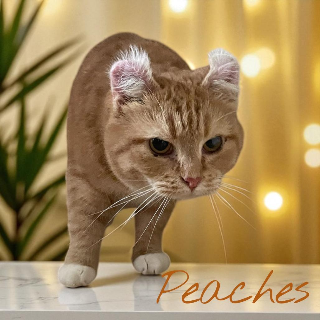 Peaches