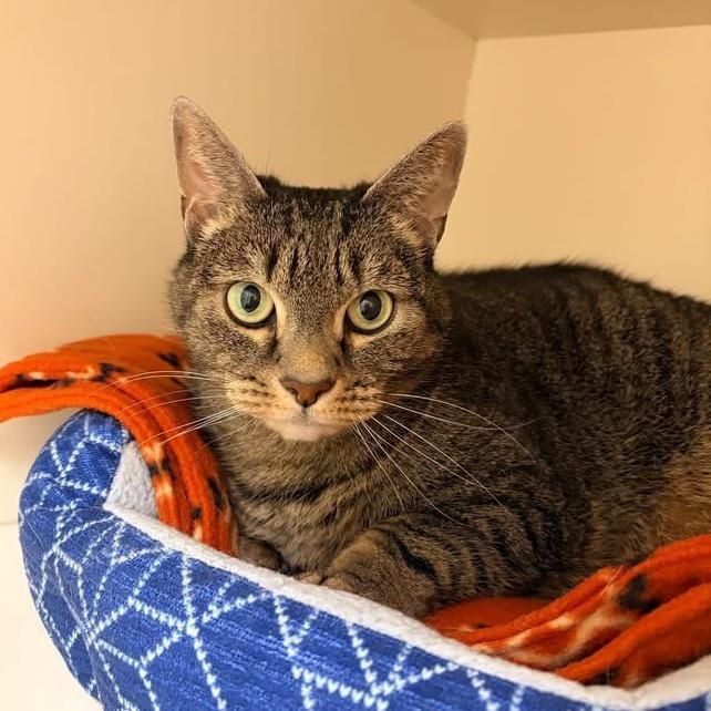 Shirley - In Foster Care