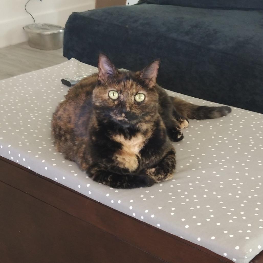 Xena