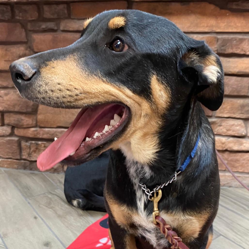 Elden (Tumbleweed #7)