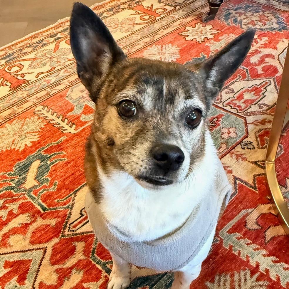 Gimlet fka Snaggle Tooth