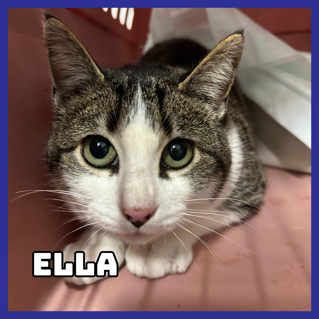 Ella