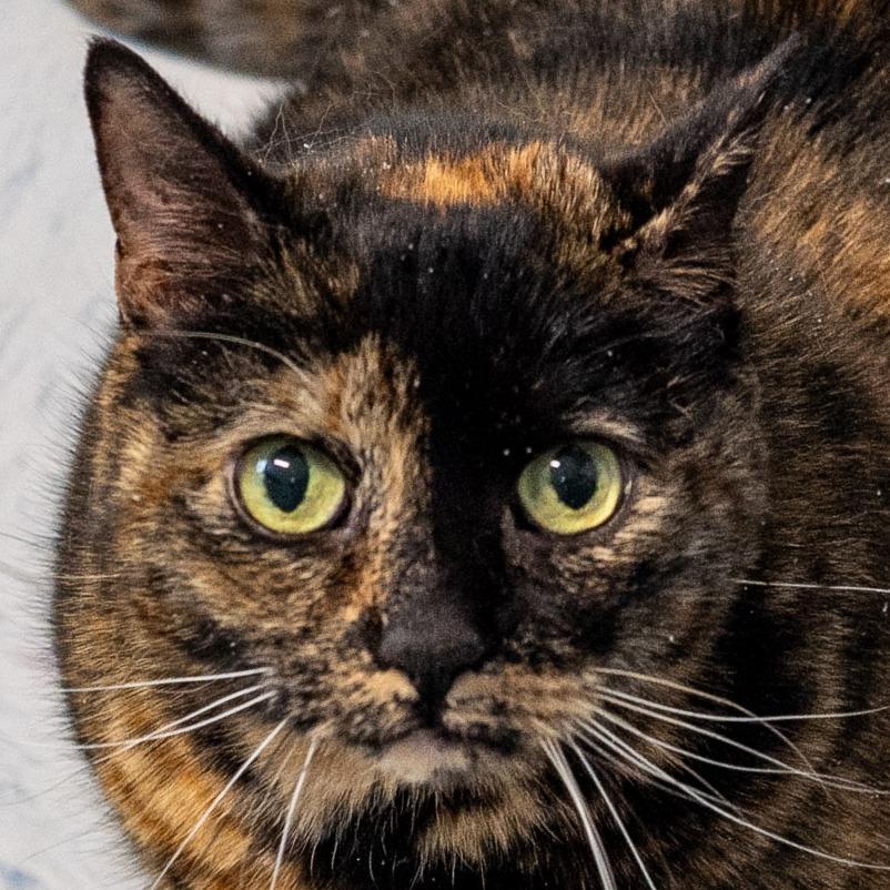 Creepy *Bonded w/ Sally*