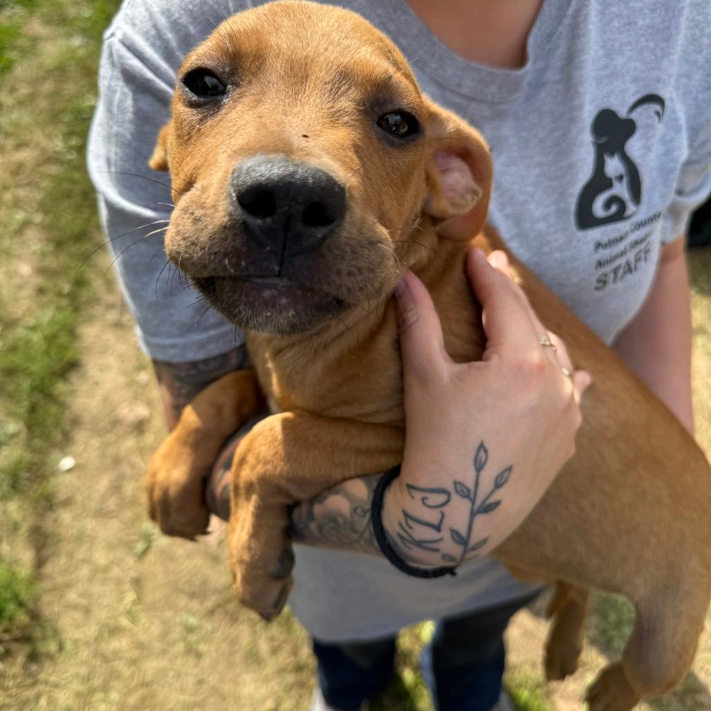 Tinkerbell Manila Crk