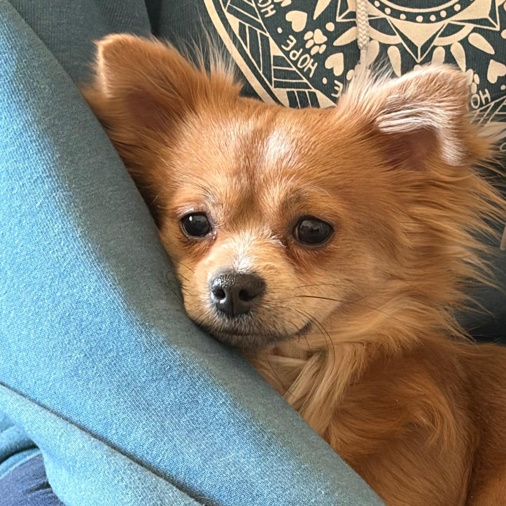 River (Multiple Applications)