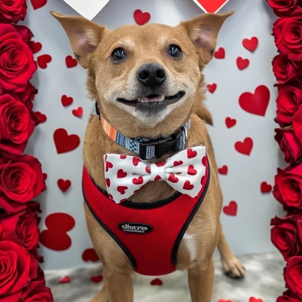 TY (bonded w/Pee Wee)