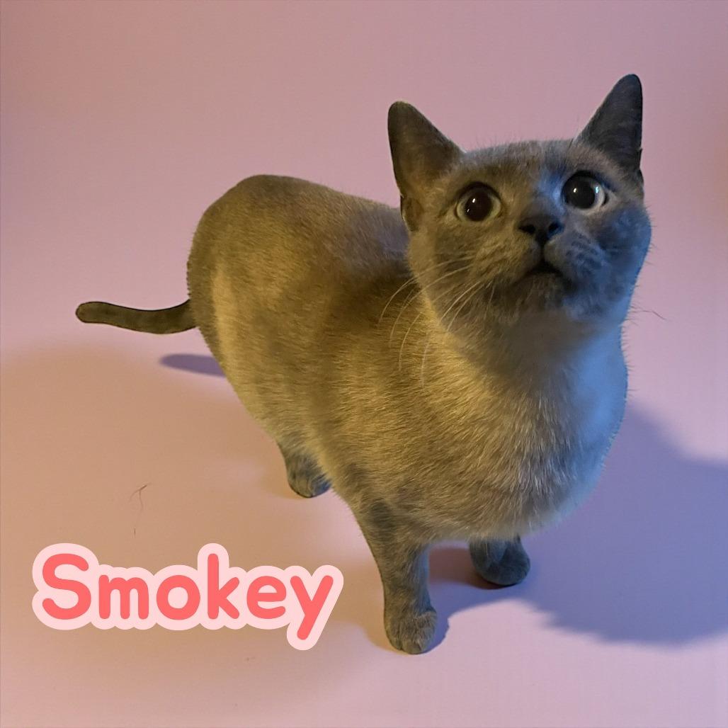 Smokey