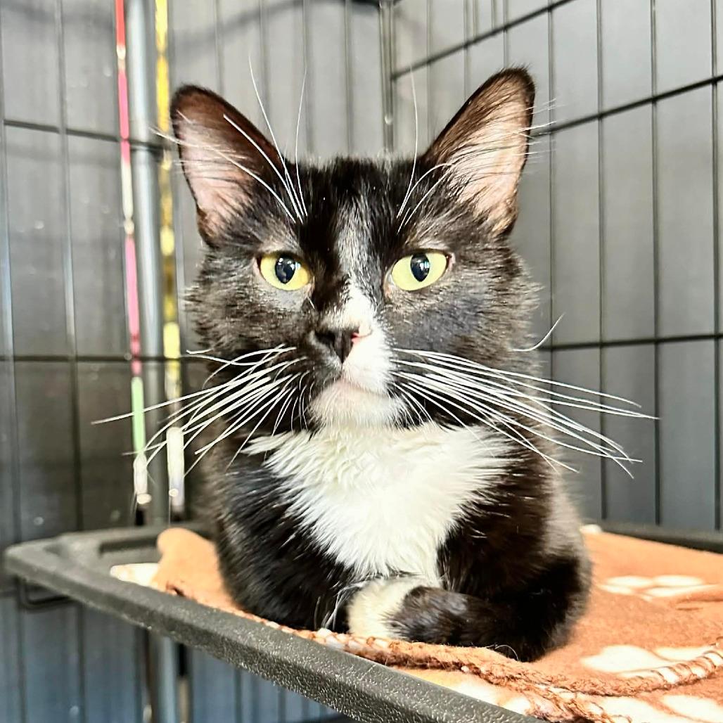 Ralph Macchio -Eureka PetSense