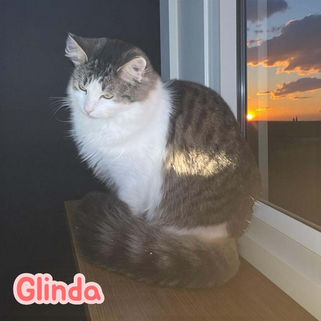 Glinda