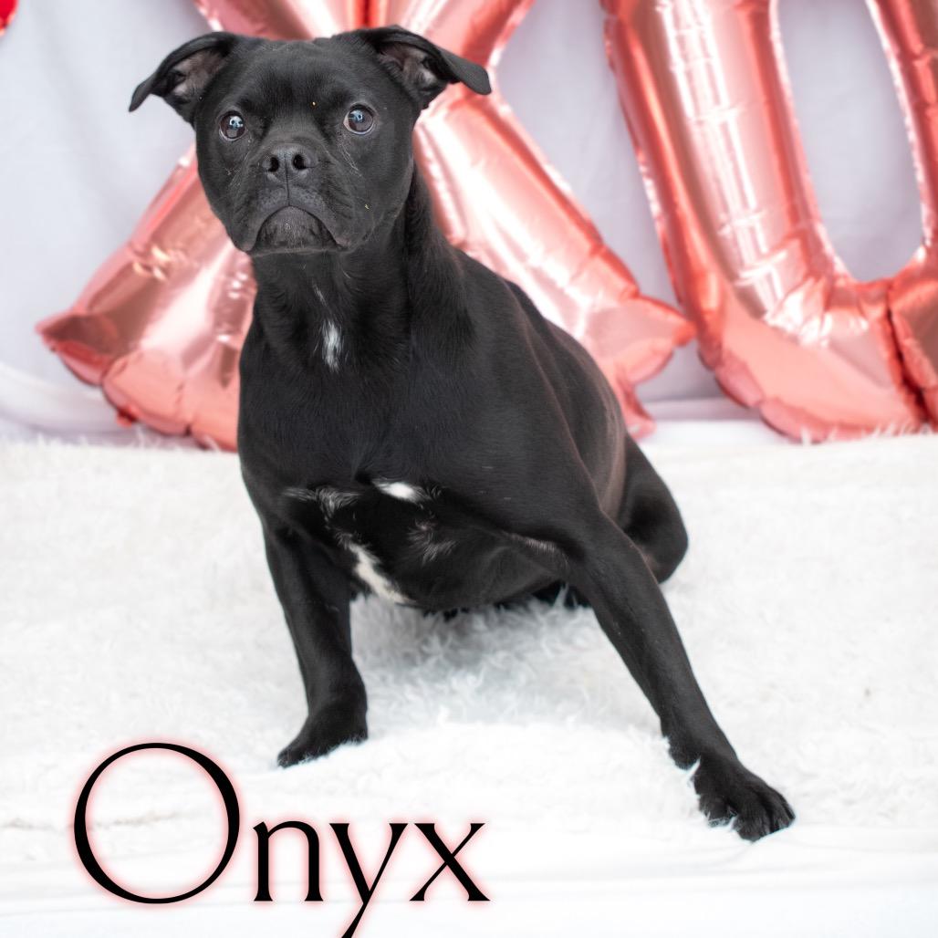 Onyx