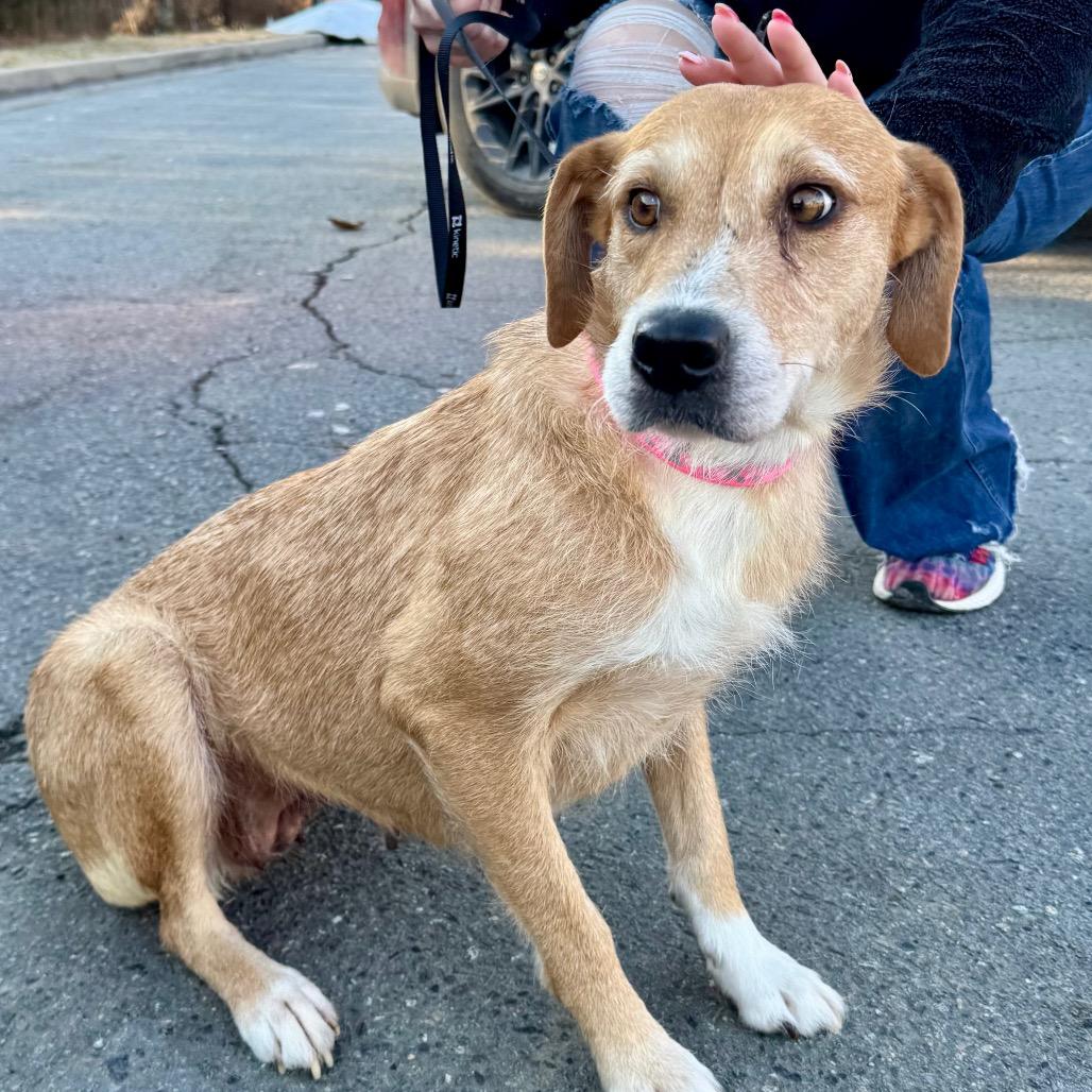 Millicent (Mama Millie)