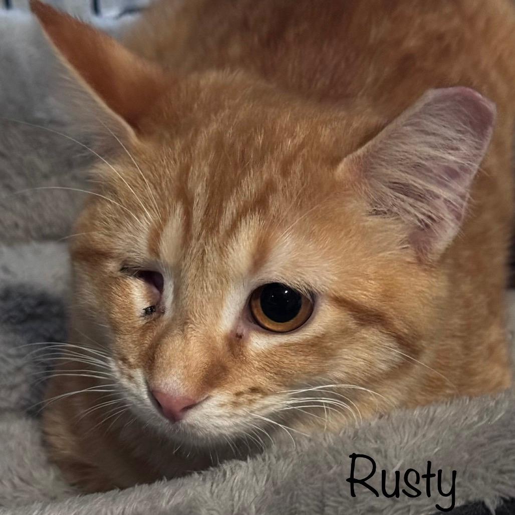 Rusty