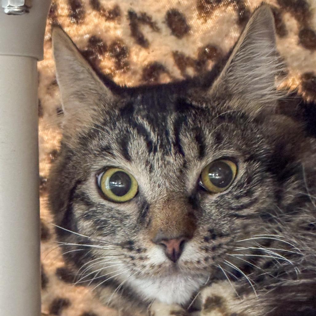 Dr Dre *Bonded w/ Warren G*