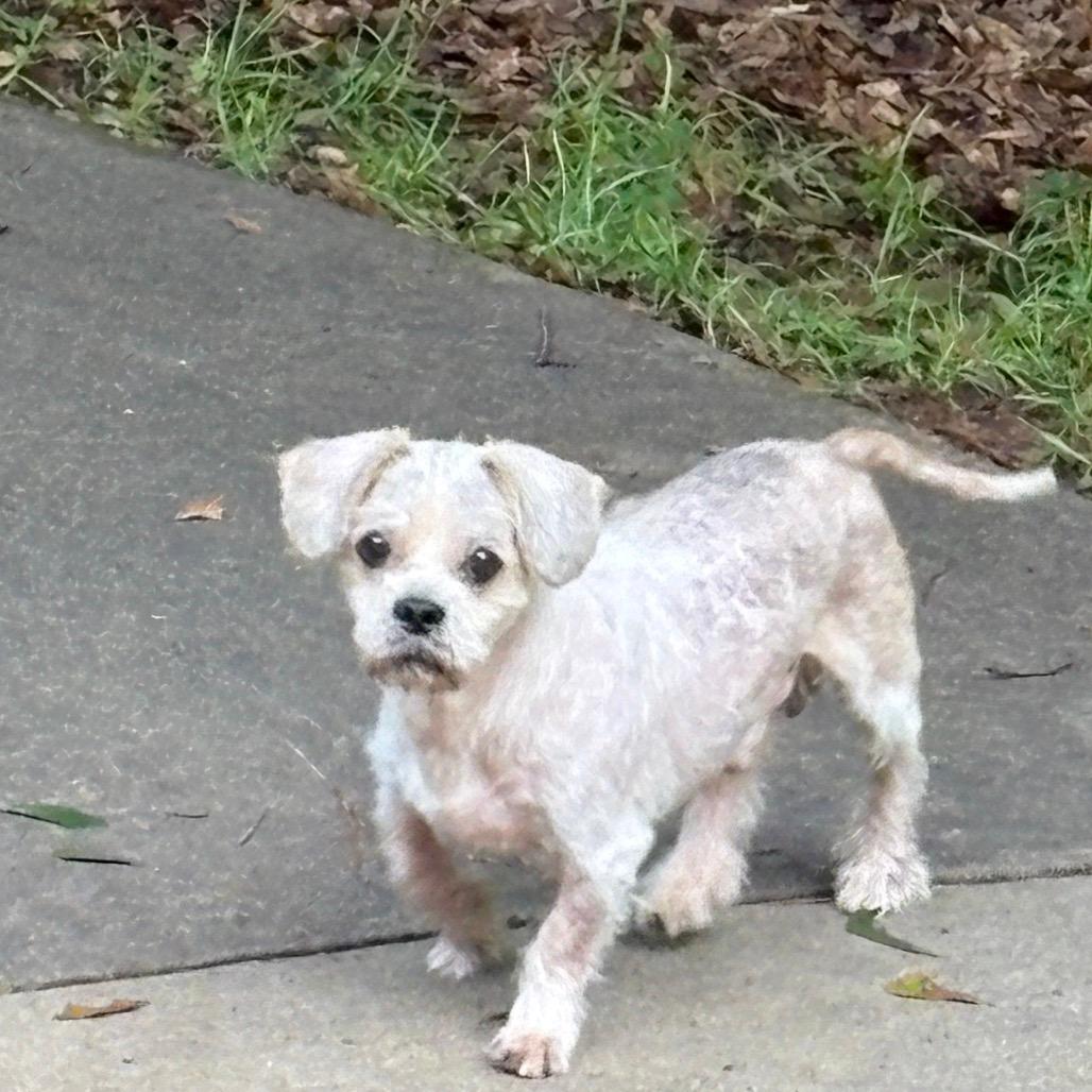 Rocky (bonded with Jess)