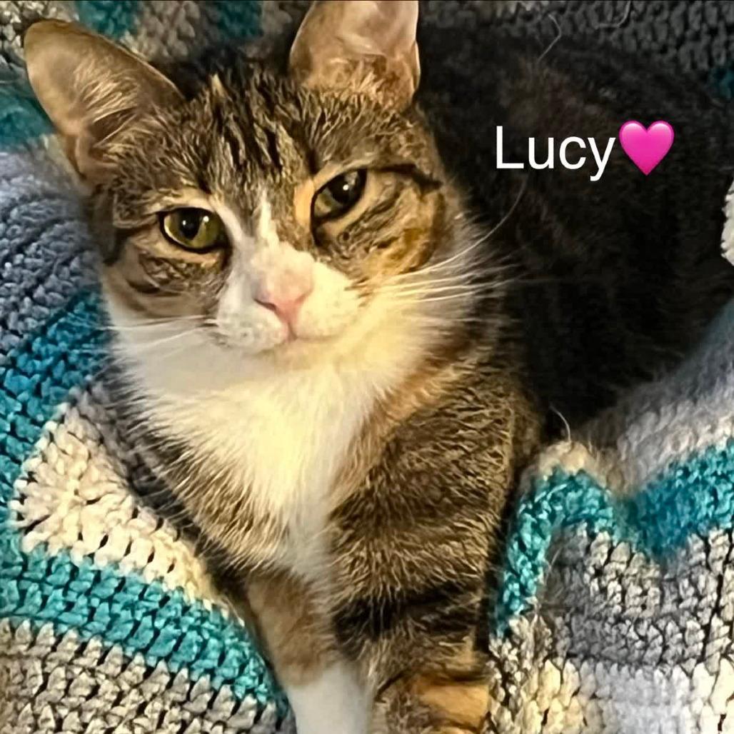 Lucy