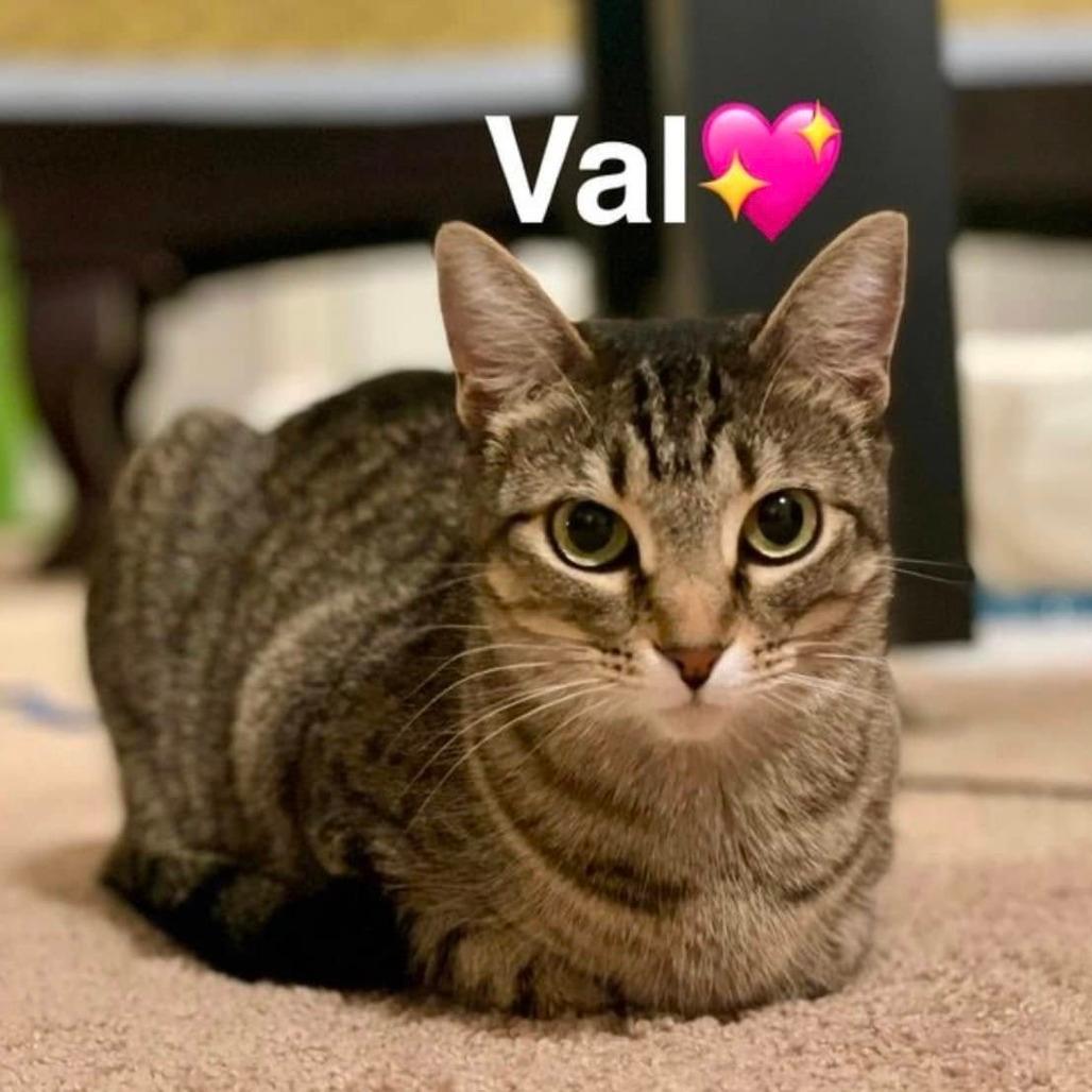 Val