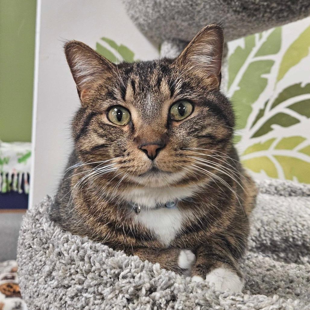 Will You Have Brunch With Grandma?