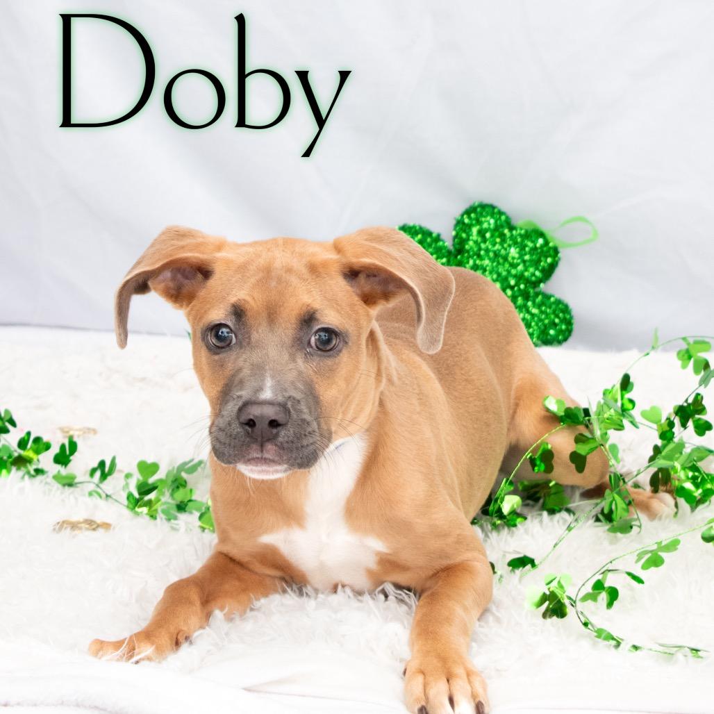 Doby