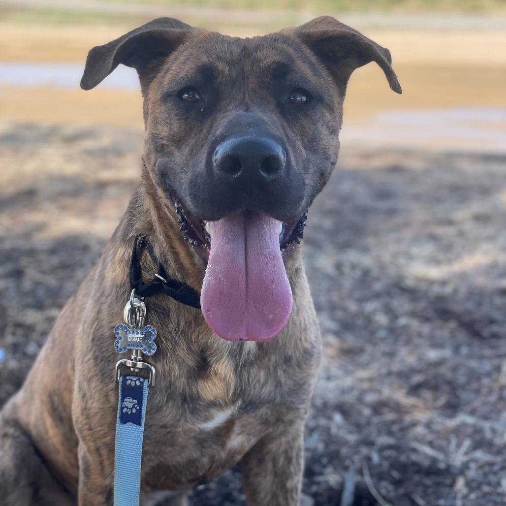 Camo