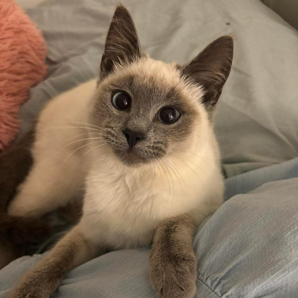 Eyre *adoption pending*