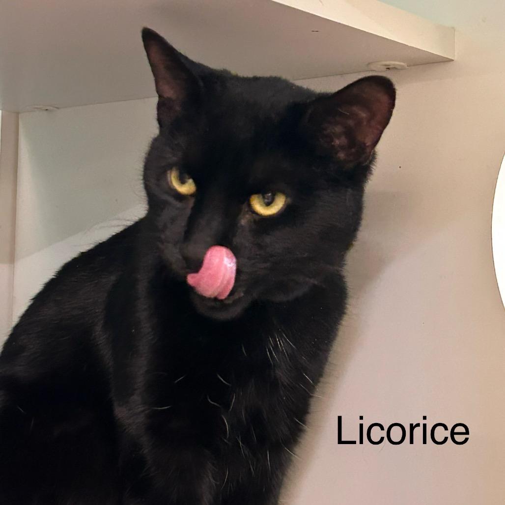 Licorice