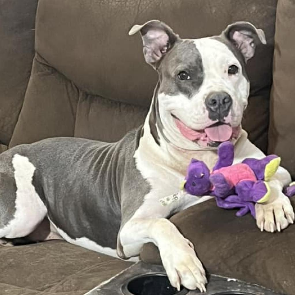 Luna Belle