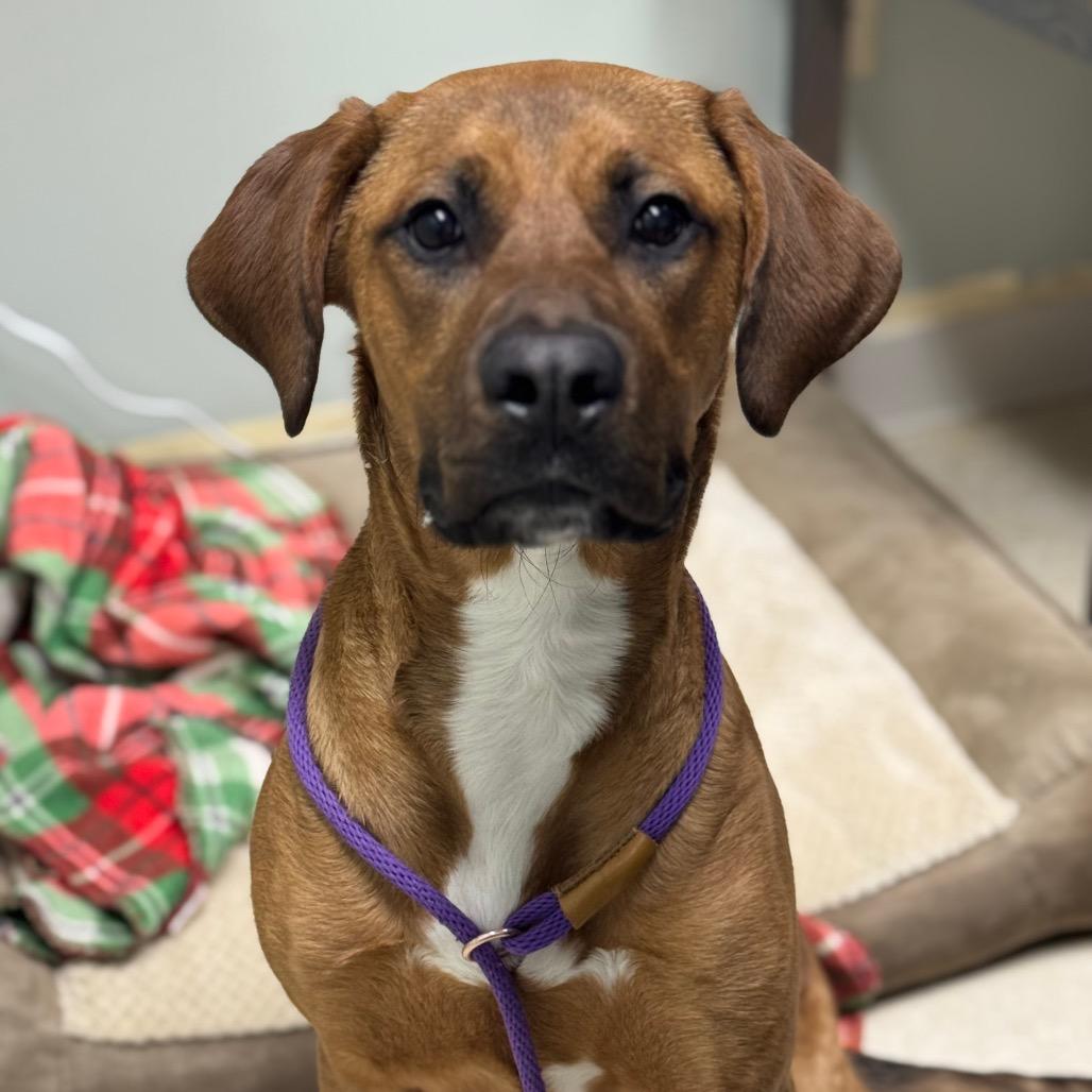 Seraphina “Sera”