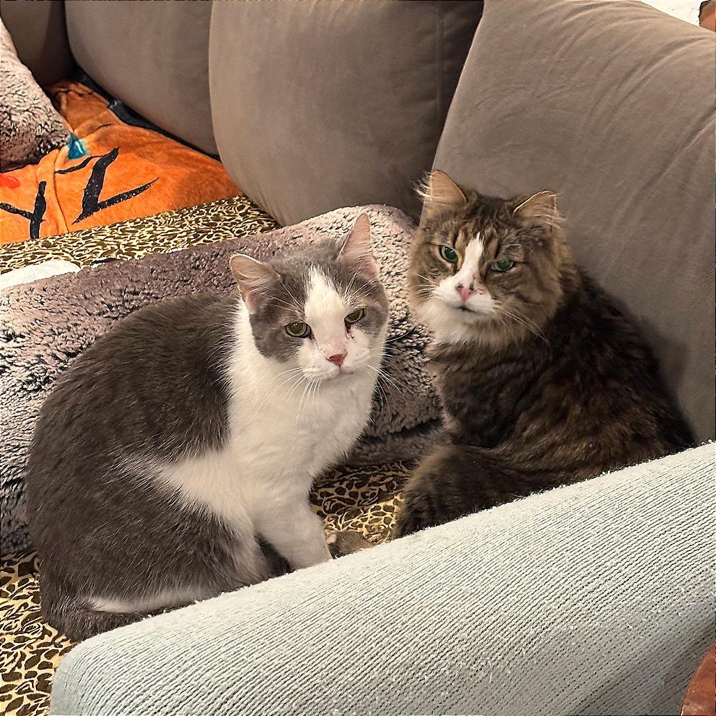 Franklin Parsons and Freddie Pesto - We're a bonded pair!