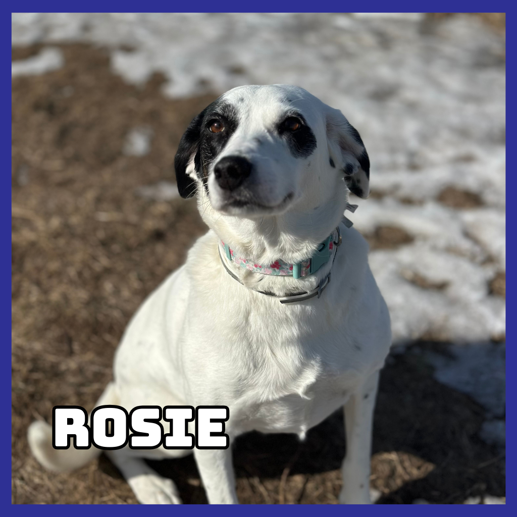 Rosie