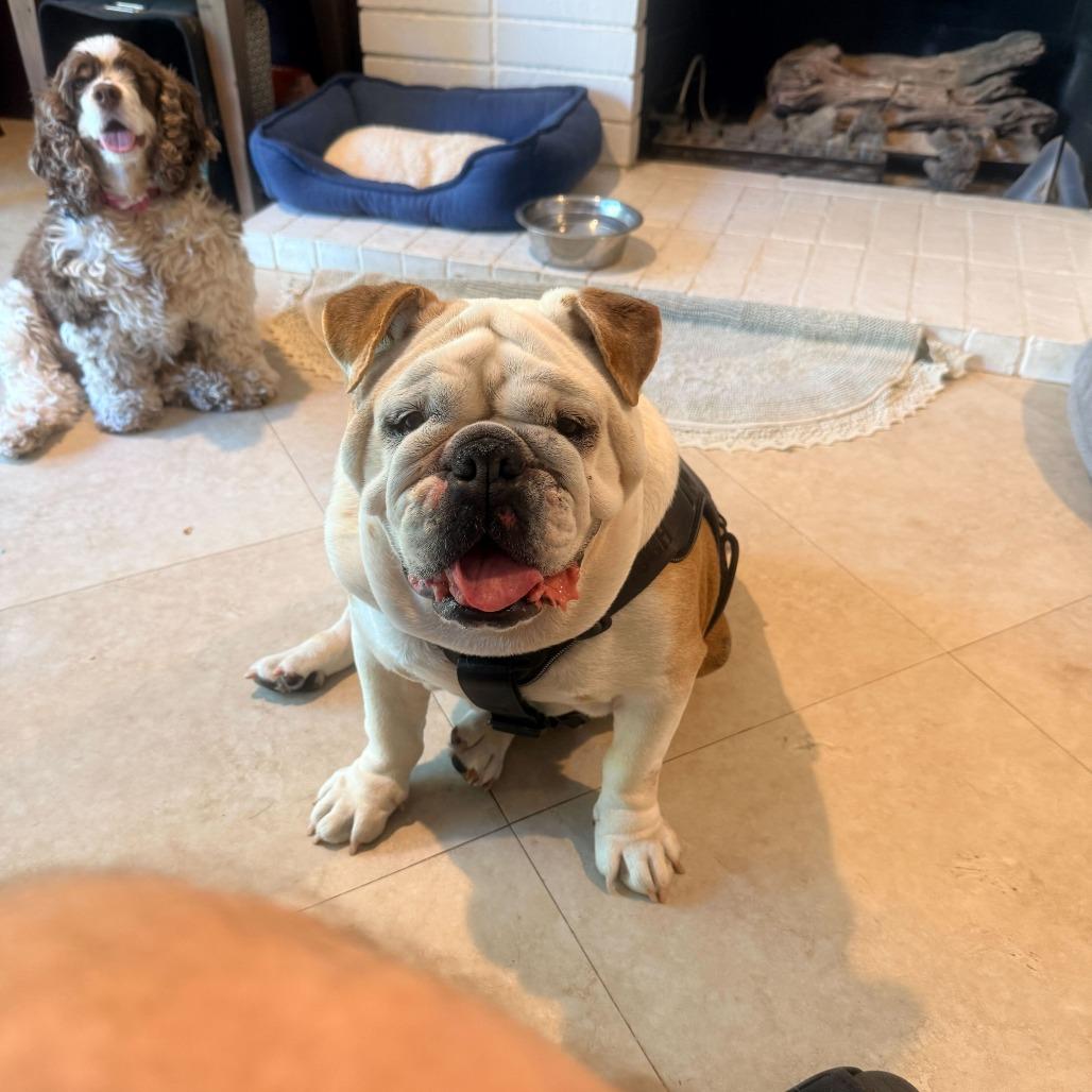 Winnie